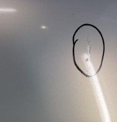 Capot RENAULT CLIO 2 Photo n°5