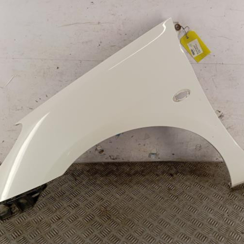 Aile avant gauche PEUGEOT 307 Aile avant gauche PEUGEOT 307