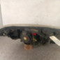 Optique avant principal gauche (feux)(phare) CITROEN C5 2