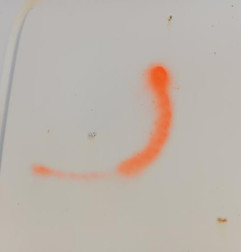 Porte de coffre gauche PEUGEOT BOXER 2 Photo n°3