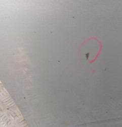 Porte avant gauche CITROEN C3 2 Photo n°3