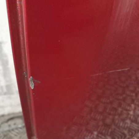 Porte arriere gauche NISSAN JUKE 1