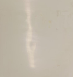 Porte avant gauche RENAULT MASTER 2 Photo n°4