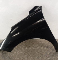 Aile avant gauche PEUGEOT 207 Photo n°1
