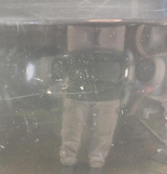 Porte arriere droit BMW SERIE 3 E90 Photo n°3