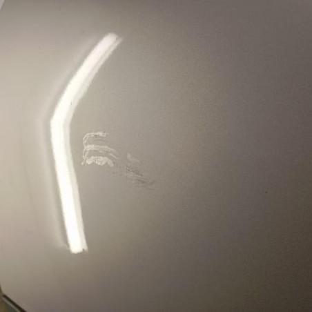 Porte arriere gauche RENAULT SCENIC 2