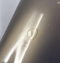 Aile avant droit CITROEN XSARA PICASSO