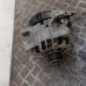 Alternateur CITROEN C4 GRAND PICASSO 2