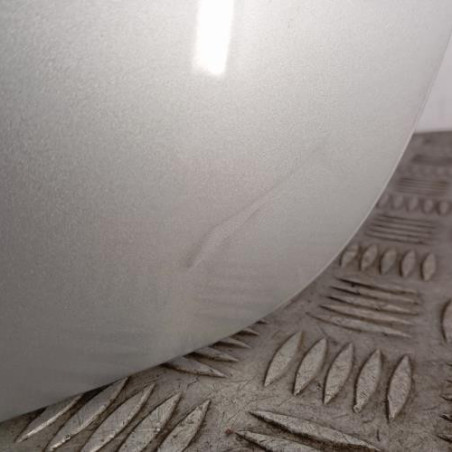 Malle/Hayon arriere RENAULT SCENIC 3