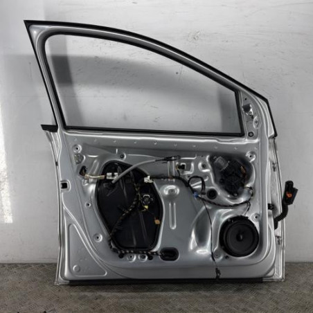 Porte avant gauche VOLKSWAGEN POLO 5