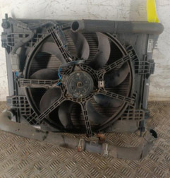 Radiateur eau NISSAN JUKE 1 Photo n°1