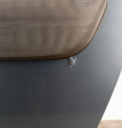 Porte arriere gauche DACIA LOGAN MCV 1 Photo n°3