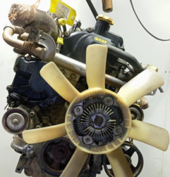 Moteur NISSAN CABSTAR 2 Photo n°1