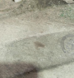 Boite de vitesses CITROEN XSARA PICASSO Photo n°5