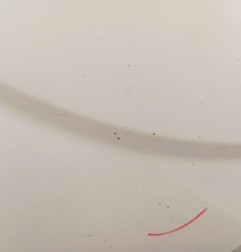 Aile avant gauche CITROEN JUMPER 3 Photo n°4