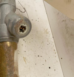 Attache ceinture avant droit RENAULT CLIO 2 Photo n°3