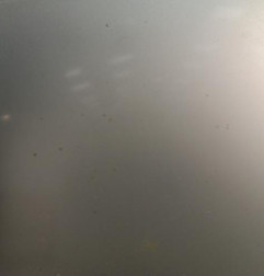 Capot RENAULT TRAFIC 2 Photo n°5