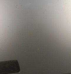 Capot RENAULT TRAFIC 2 Photo n°7