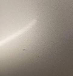 Aile avant gauche TOYOTA AVENSIS 2