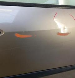 Porte avant droit RENAULT GRAND MODUS Photo n°3