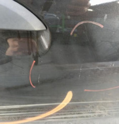 Porte avant droit DACIA SANDERO 2 Photo n°4