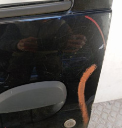 Porte avant gauche DACIA SANDERO 2 Photo n°3