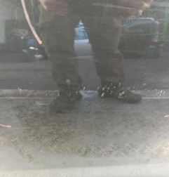 Porte avant gauche DACIA SANDERO 2 Photo n°4