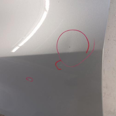 Aile avant gauche VOLKSWAGEN GOLF PLUS