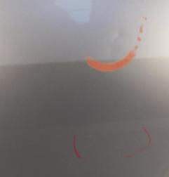 Porte avant gauche VOLKSWAGEN GOLF PLUS Photo n°3