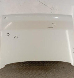 Capot RENAULT EXPRESS Photo n°3