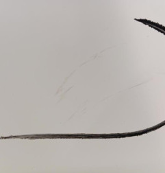 Capot RENAULT EXPRESS Photo n°5