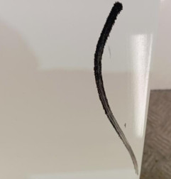 Capot RENAULT EXPRESS Photo n°6