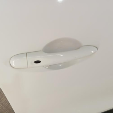 Porte avant droit RENAULT CLIO 4