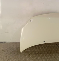 Capot RENAULT TWINGO 2