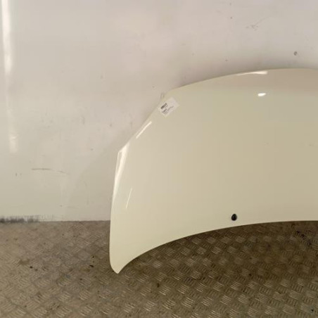 Capot RENAULT TWINGO 2