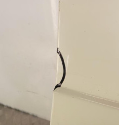 Porte avant droit RENAULT TWINGO 2 Photo n°4