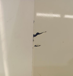 Porte avant droit RENAULT TWINGO 2 Photo n°5