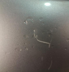 Porte avant gauche CITROEN C4 CACTUS Photo n°3