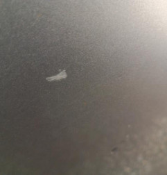 Porte avant gauche CITROEN C4 CACTUS Photo n°4