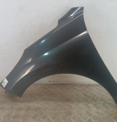 Aile avant gauche PEUGEOT 207 Photo n°1