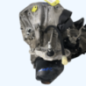Boite de vitesses RENAULT CLIO 3