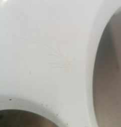 Pare choc avant FIAT 500 2 Photo n°6