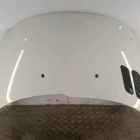 Capot PEUGEOT 206+ Photo n°1