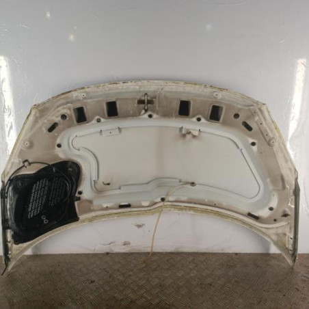Capot PEUGEOT 206+