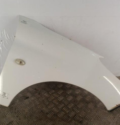 Aile avant gauche PEUGEOT 207 Photo n°1