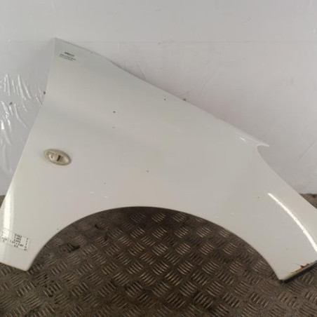 Aile avant gauche PEUGEOT 207 Photo n°1