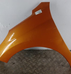 Aile avant gauche PEUGEOT 207 Photo n°1