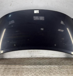 Capot PEUGEOT 207 Photo n°1