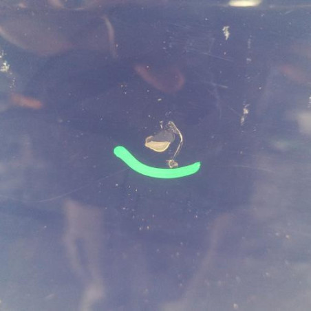 Porte arriere droit DACIA LOGAN MCV 1