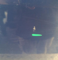 Porte arriere droit DACIA LOGAN MCV 1 Photo n°4